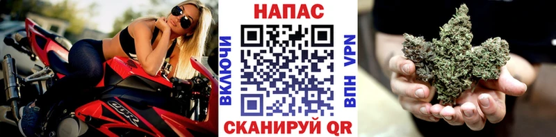 Каннабис индика  площадка наркотические препараты  Хилок 